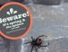 Beware – The Spiders Are Out!