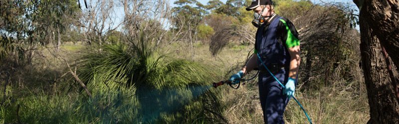 Envirapest staff member spraying bushland around the Perth area.