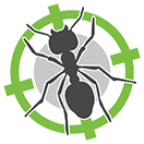 Professional help with ant problem in Perth