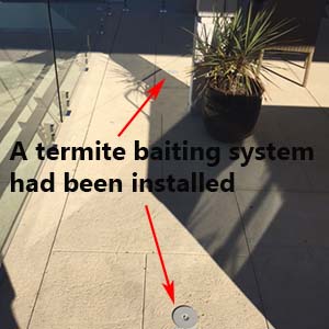 Termite Baiting System | Envirapest