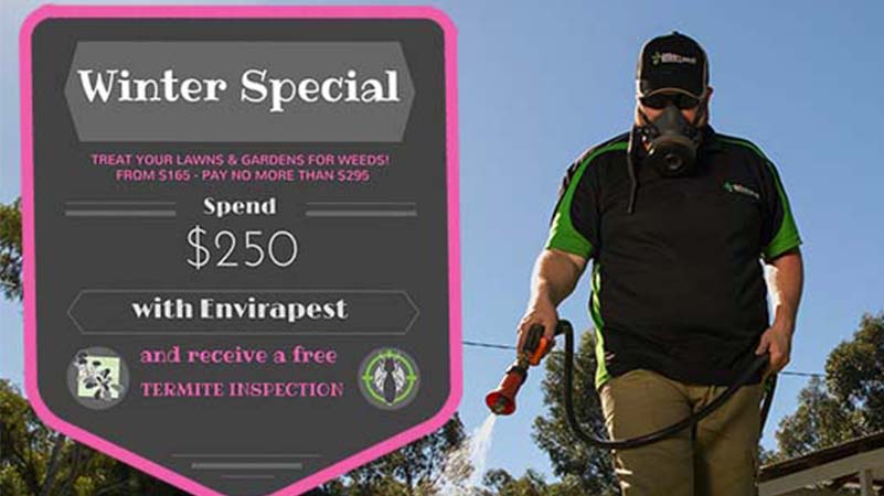 Spend $250 & Receive A Free Termite Inspection!