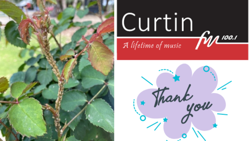 Thank You Curtin FM